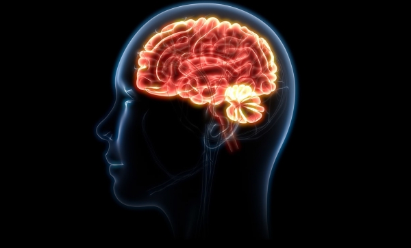 출처: 메디포스트