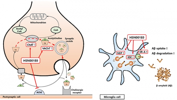 치매신약 후보물질 HSN001E0(출처: 휴사이온 홈페이지)
