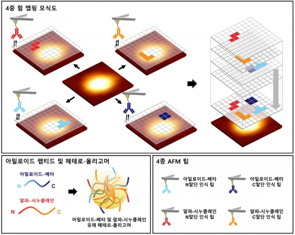 4중 힘 맵핑 모식도