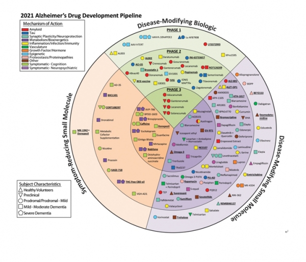2021년 알츠하이머 치료제 개발 현황