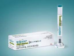 출처. 한국 릴리