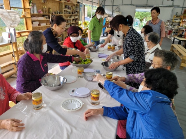 금산군 치매안심센터 기억키움학교 프로그램