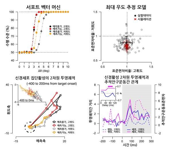 사전 예측의 신경활성 조절이 안구추적운동에 미치는 영향