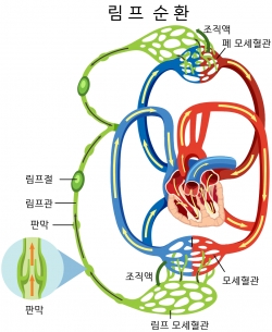 (주)마음생각연구소 제공