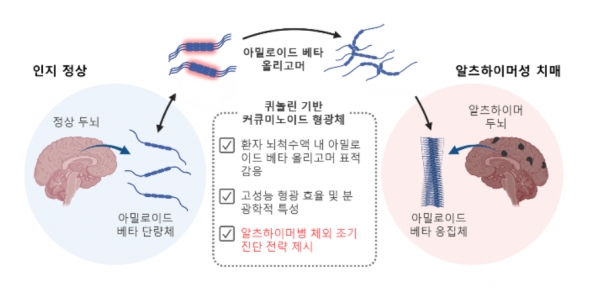 알츠하이머병 체외 조기진단 시스템 구축 모식도 / 조선대 치매국책연구단