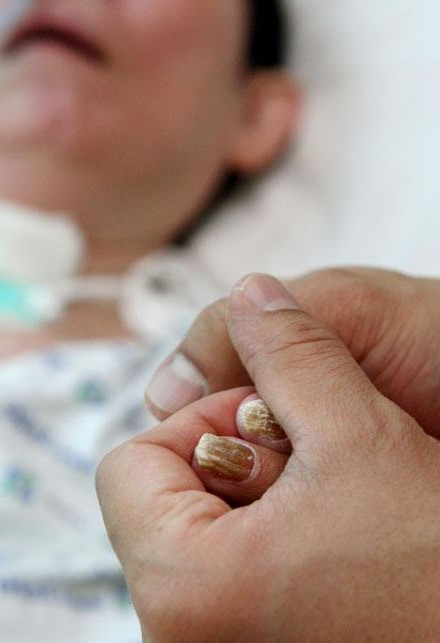 2009년 봄, 조선일보의 주말판 WHY