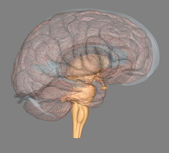 마음생각연구소 제공