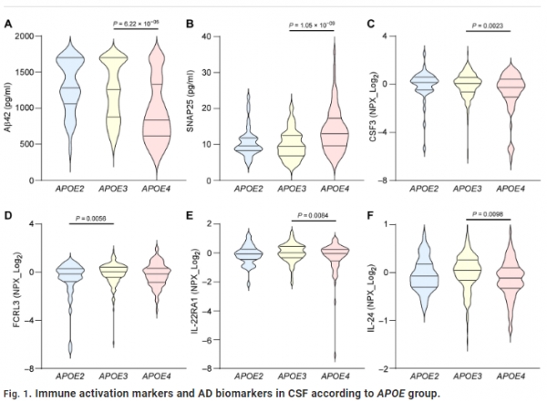 CSF biomarkers of immune activation and Alzheimer’s disease for predicting cognitive impairment risk in the elderly