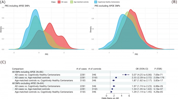 Cognitively healthy centenarians are genetically protected against Alzheimer's disease
