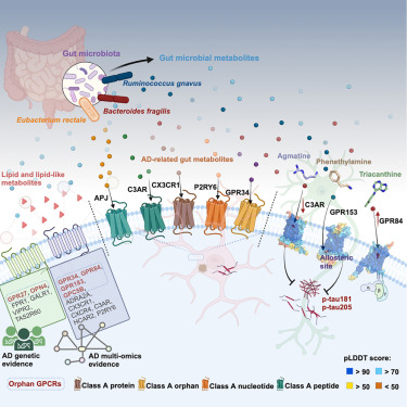 Systematic characterization of multi-omics landscape between gut microbial metabolites and GPCRome in Alzheimer’s disease