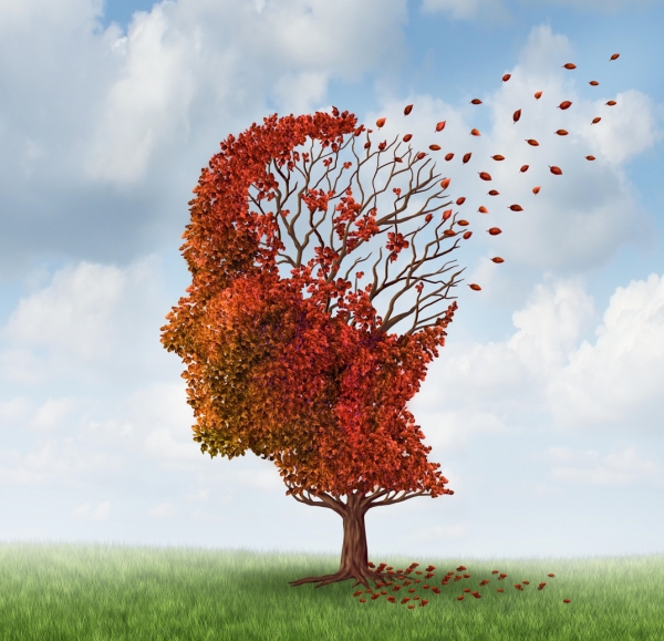 마음생각연구소 제공