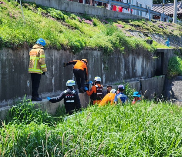 사고가 난 도랑 / 전북자치도소방본부 제공