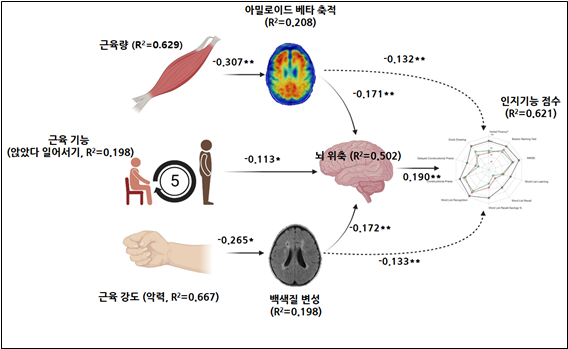 부분최소적합 구조방정식 모형(Partial least square strucure equation model, PLS-SEM) / 여의도성모병원