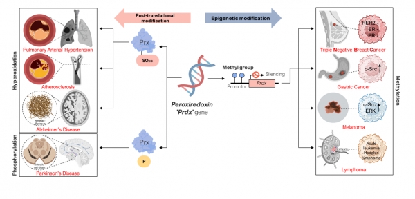바스테라 홈페이지