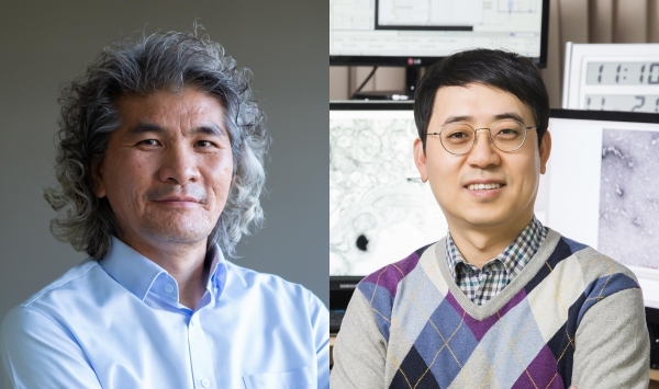 이창준 IBS 인지 및 사회성 연구단장(왼쪽)과 김호민 IBS 바이오분자 및 세포 구조 연구단 CI