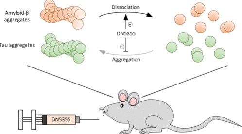 Modulation of Amyloid and Tau Aggregation to Alleviate Cognitive Impairment in a Transgenic Mouse Model of Alzheimer’s Disease