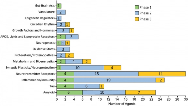 Alzheimer's & Dementia: Translational Research & Clinical Interventions