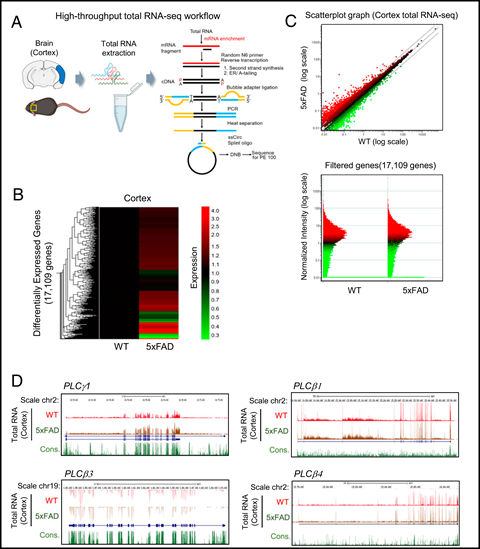 알츠하이머 의존적 유전자 변화분석