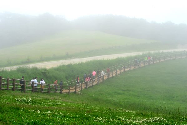평창군 삼양축산 / 평창군청