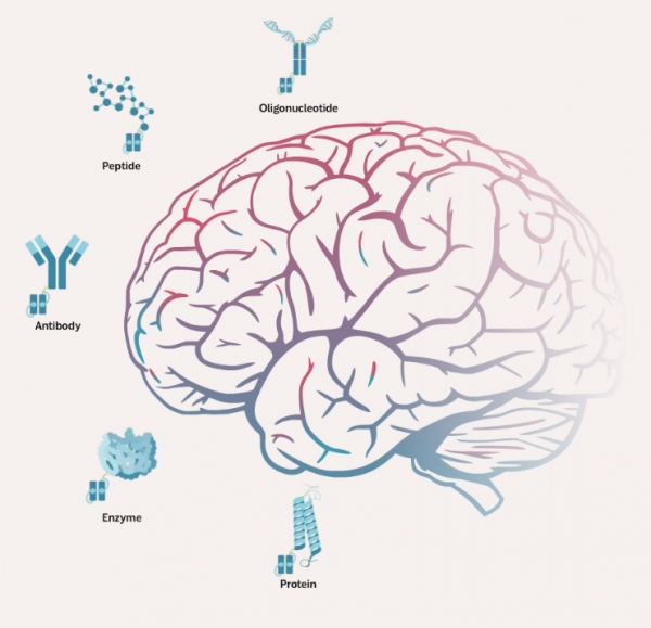 알리아다 테라퓨틱스 홈페이지