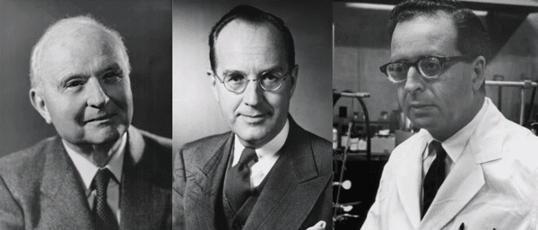 세로토닌 발견에 기여한 의과학자: 비토리오 에르스파머, 어바인 페이지, 모리스 라포트