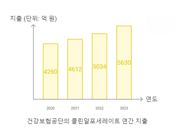 콜린알포세레이트의 건강보험공단 의약품 지출 현황 / 건보공단, 디멘시아뉴스