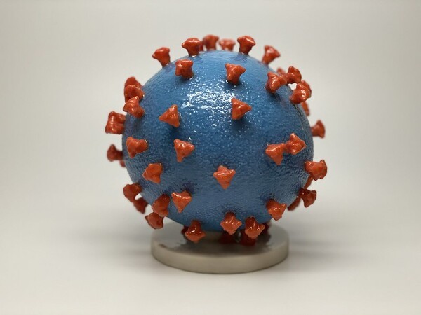 Novel Coronavirus SARS-CoV-2 / NIH