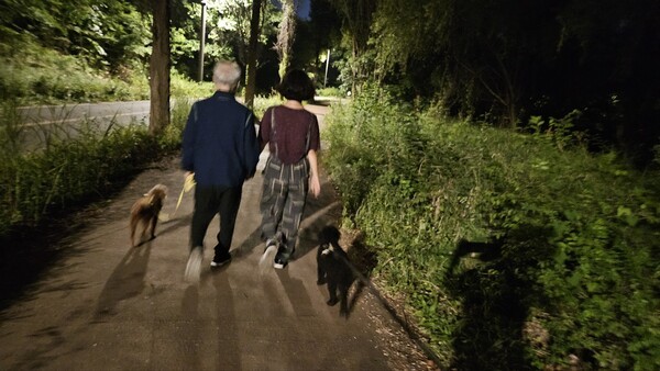 한강산책로를 산책하는 김혜령 교수 부녀. 춥거나 비 오는 날을 제외하고는 할 수 있는 한 아버지와 산책한다 / 김혜령 교수