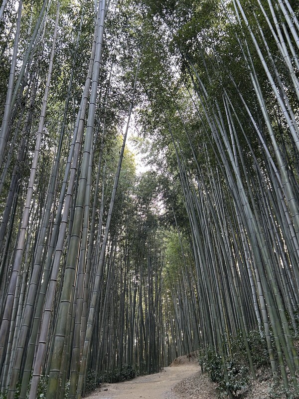양은미 마음생각연구소 대표