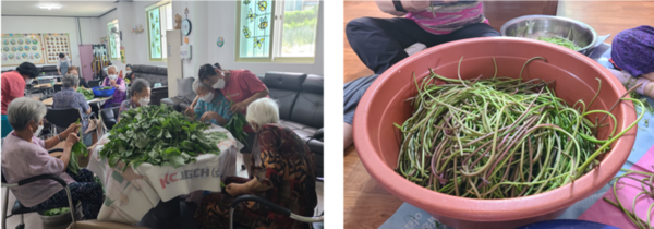 어르신들이 고구마 줄기를 다듬으며 회상 요법 효과로 긍정적인 감정을 느끼도로 하는 시간 / 이혜주 센터장