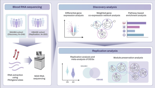 분석 워크플로 개요 / 분당서울대학교병원