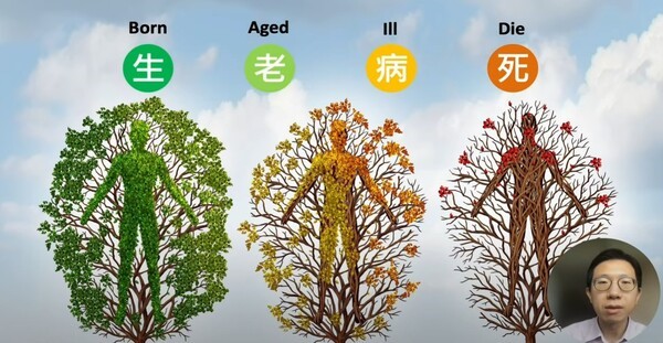 서울대학교병원 완화의료·임상윤리센터 유튜브