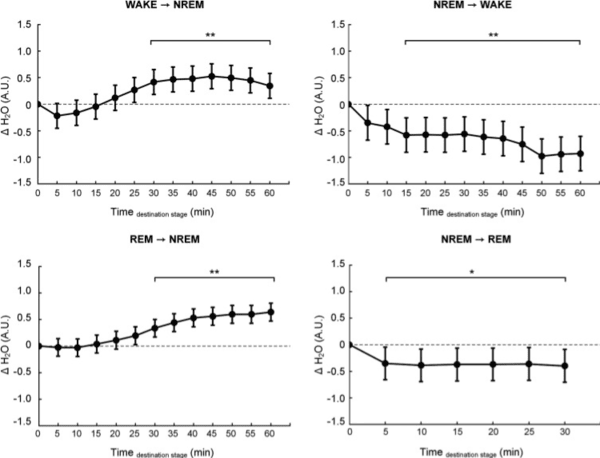 수면 단계 전환에 따른 뇌 수분 변화: 수면-각성 단계 간 전환 시, 뇌 수분량은 깊은 수면(NREM)으로 진입할 때 증가하고, 깨어날 때 감소하는 양상을 보였다. 특히 WAKE→NREM 및 REM→NREM 전환 시 유의한 수분 증가가 관찰됐다(p＜0.01). / 분당서울대병원