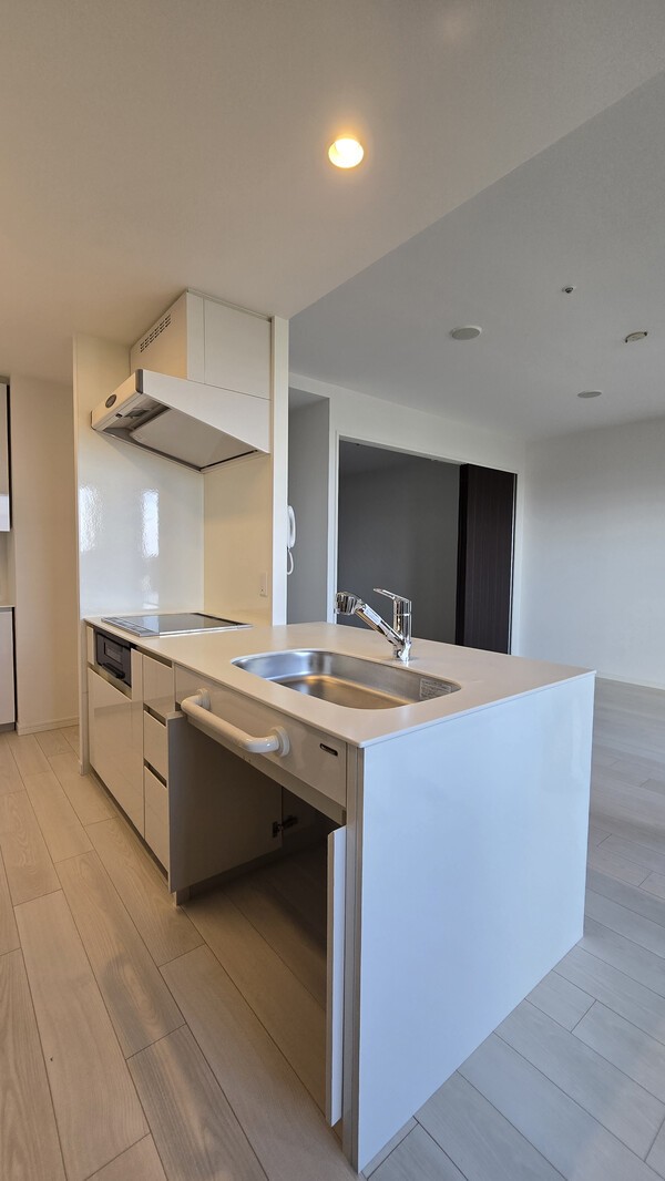 유니버설디자인, 휠체어 이용자를 위한 주방 개수대 하부 손잡이  / 김경인 박사