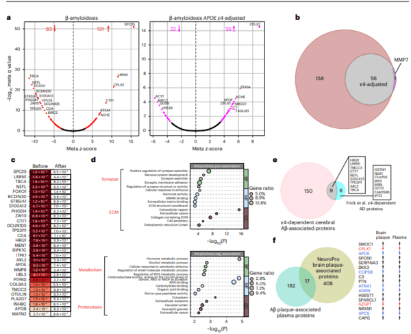 연구진은 2,139명의 혈액을 분석해 200개 이상의 단백질이 아밀로이드 축적과 관련됨을 확인했다 / 네이처 에이징, Fig. 2: Plasma protein associations with cerebral β-amyloidosis(아밀로이드 축적과 혈액 단백질 연관성)