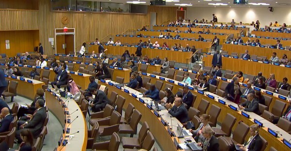 비전염성 질환 예방 및 관리와 정신 건강, 웰빙 증진 고위급 회의 / Journal of the UN 중계화면 캡처