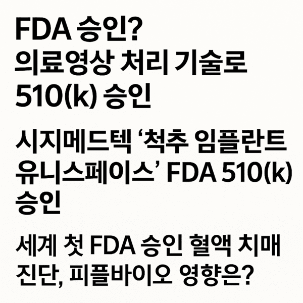 ‘510(k) 허가’를 ‘승인’으로 표현하는 국내 보도 경향을 시각적으로 정리한 이미지 / 생성형 AI